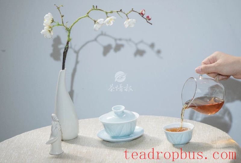 Everyone Says White Tea Is Good, But What Exactly Is So Great About White Tea?-1