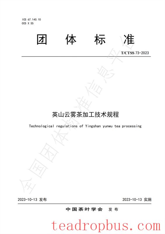 Group Standard T/CTSS 73-2025 
