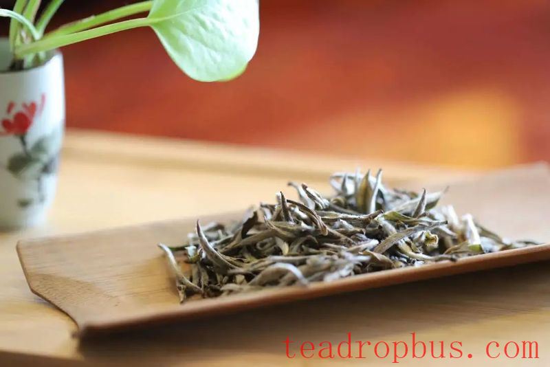 The Correct Way to Savor White Tea: Master These Tips and You'll Be an Aroma Expert!-1