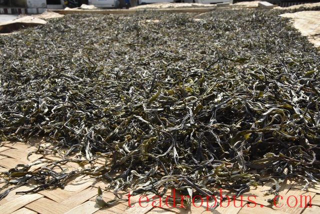 The Benefits of Blended Tea Are Numerous—How Much Do You Know?-1