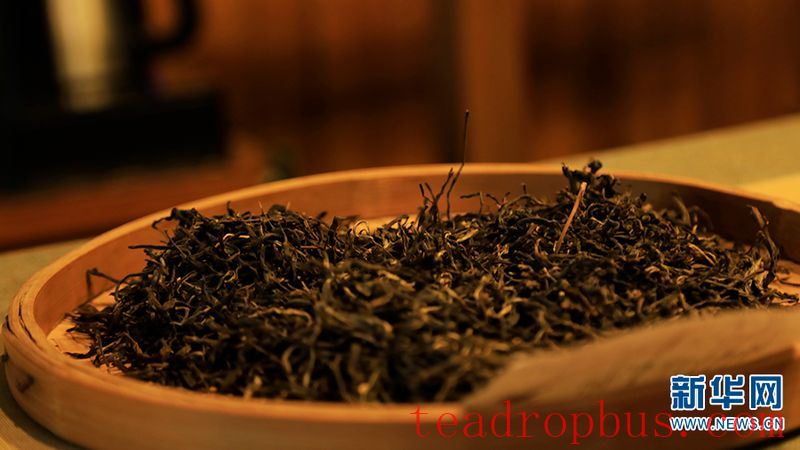 Jingmai Mountain in Yunnan: Ancient Tea Forests and Centuries-Old Affection-3