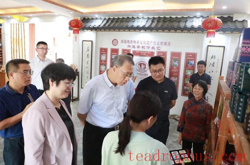 Yin Hao Visits Liubao Town, Cangwu County to Investigate the Liubao Tea Science Popularization Education Base-3