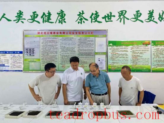 Zhuxi County: Deep Integration of Industry, Academia, and Research to Promote Innovative Development in the Tea Industry-2