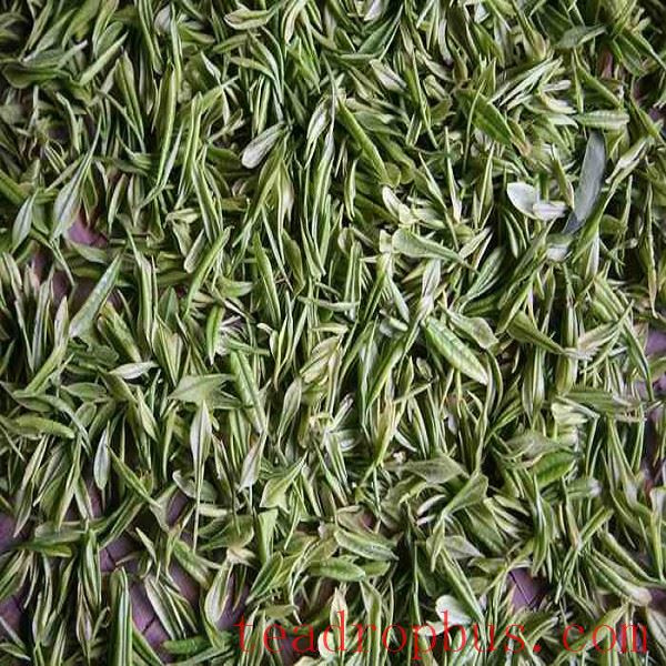 Jing'an White Tea-1