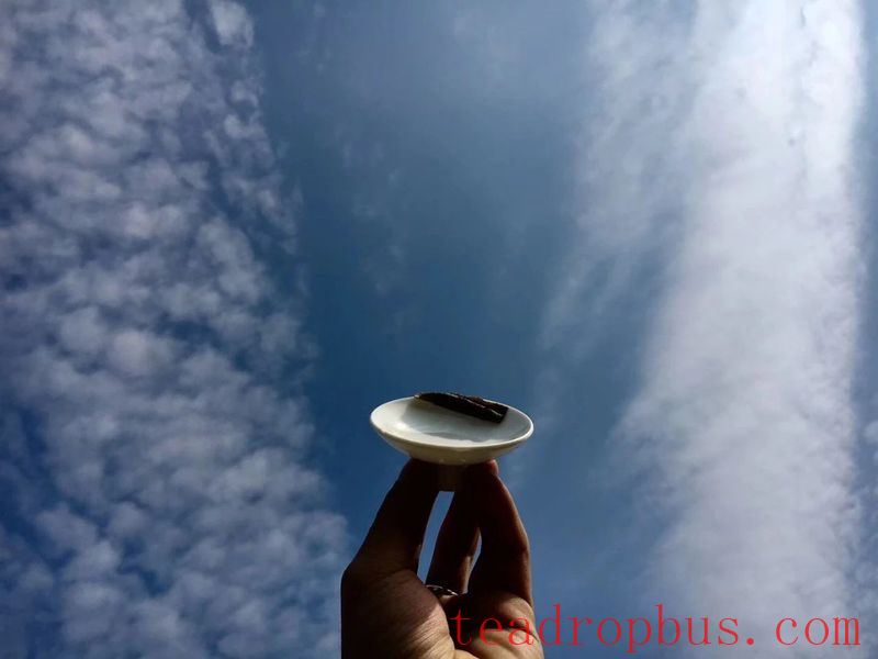 How to Brew Tea for a Better Taste?-1