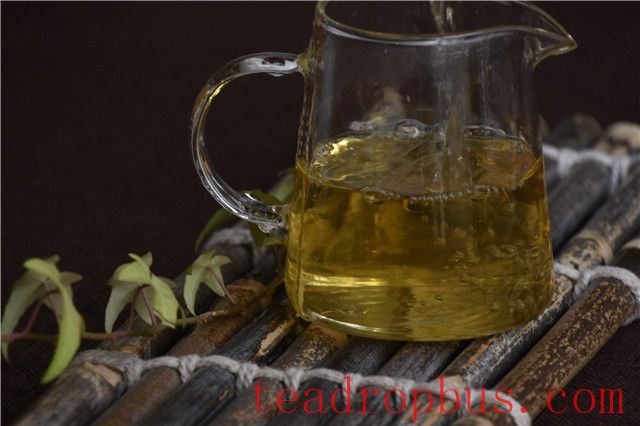 Tea Knowledge: Can Drinking Pu'er Tea Really Help with Weight Loss?-2