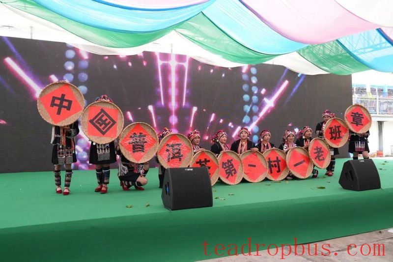 Lao Banzhang: Green Waters and Green Mountains Pave the Path to Happiness; Civilized Tea Village Welcomes a New Life-7