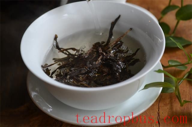 Brewing Techniques Suitable for All Tea Lovers-1