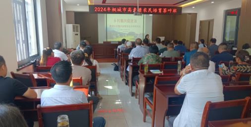 Cultivating High-Quality Tea Farmers to Enhance the Development Level of the Tea Industry-1