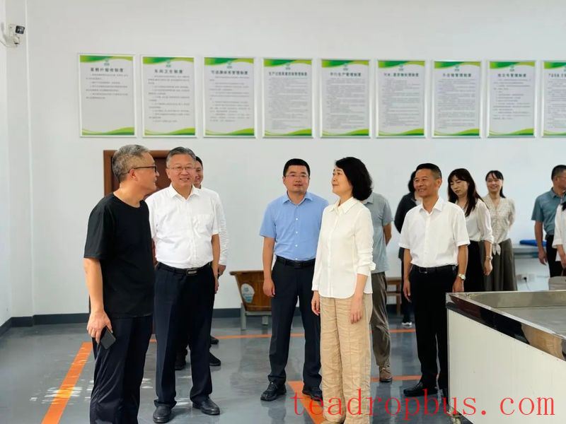 Yangzhou Leaders Survey the Tea Industry in the Park-1