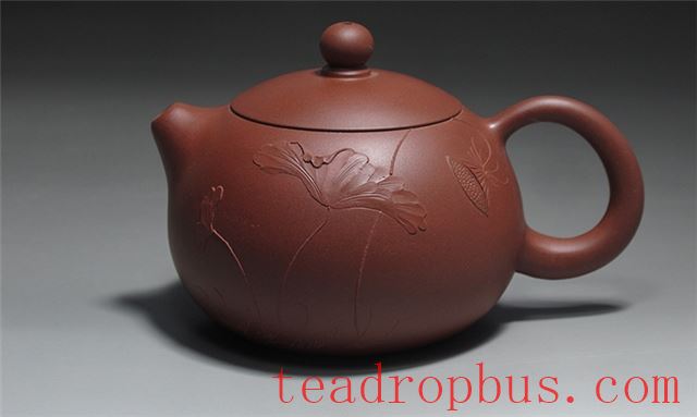 Why Did Mold Grow in Your Purple Clay Teapot?-3