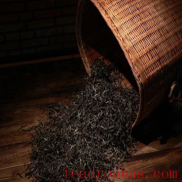Puer Tea from Yunnan-1