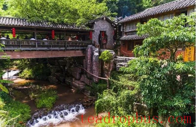 Nakeli Refreshes the Ancient Tea Horse Road: Becoming a New Highlight in Agriculture-Tourism-Culture Integration-5