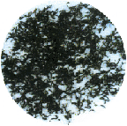 Seven Green Teas to Help You Lose Weight