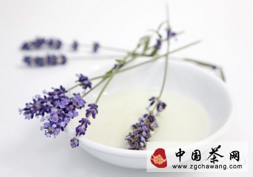 The efficacy, functions, and contraindications of white tea