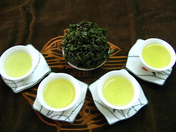 What are the effects, functions, and contraindications of Tieguanyin?