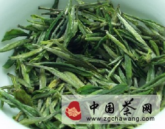 Basic Characteristics and Development History of Zisun Tea