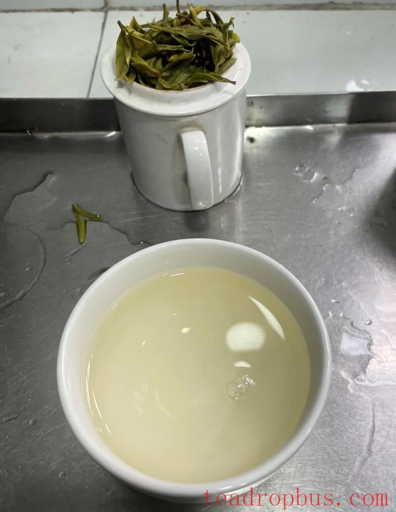 arya tea estate
