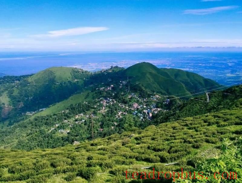 Giddapahar Tea Estate