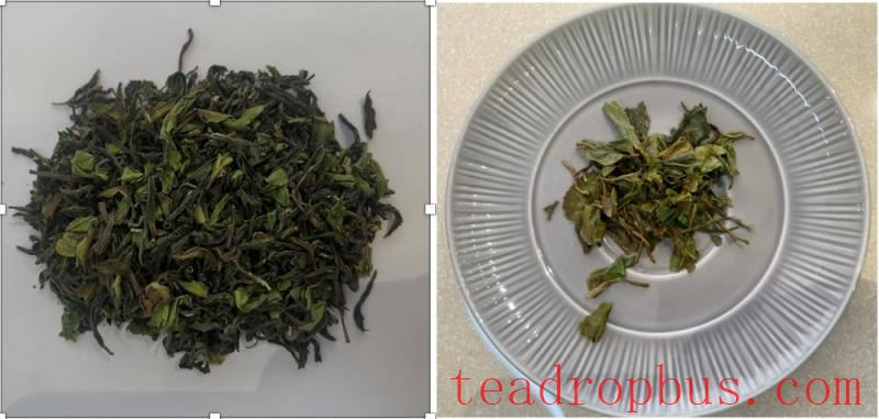 arya tea estate non-colonial estate