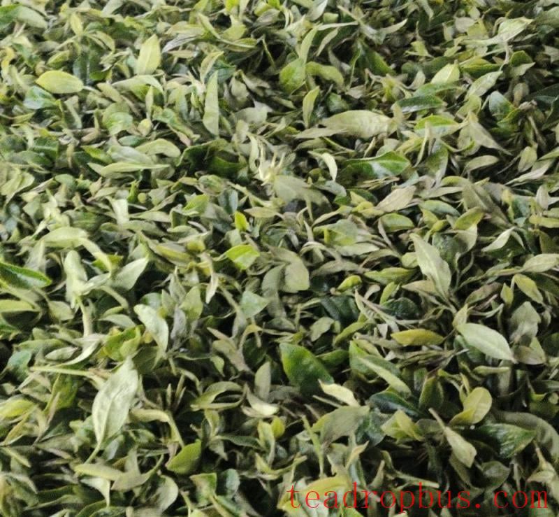 Giddapahar Tea Estate