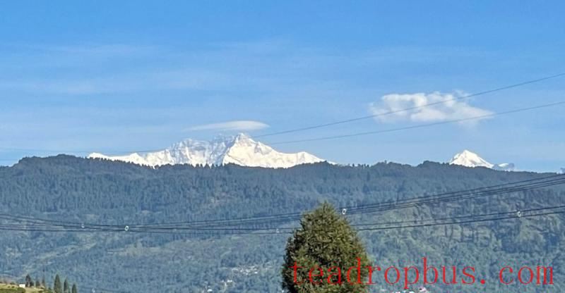 non-colonial tea estate