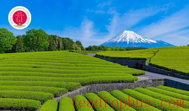 News-624x366-2026-JapanTea.jpg