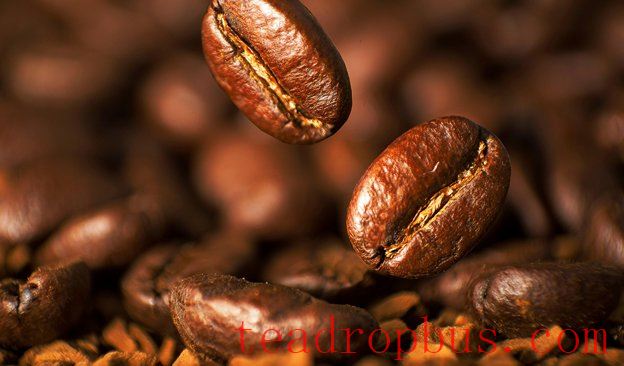 News-624x366-Robusta.jpg