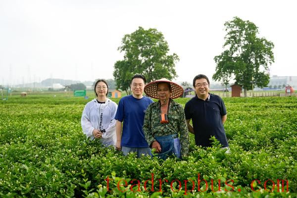 iTeaworld Team in Hengxian