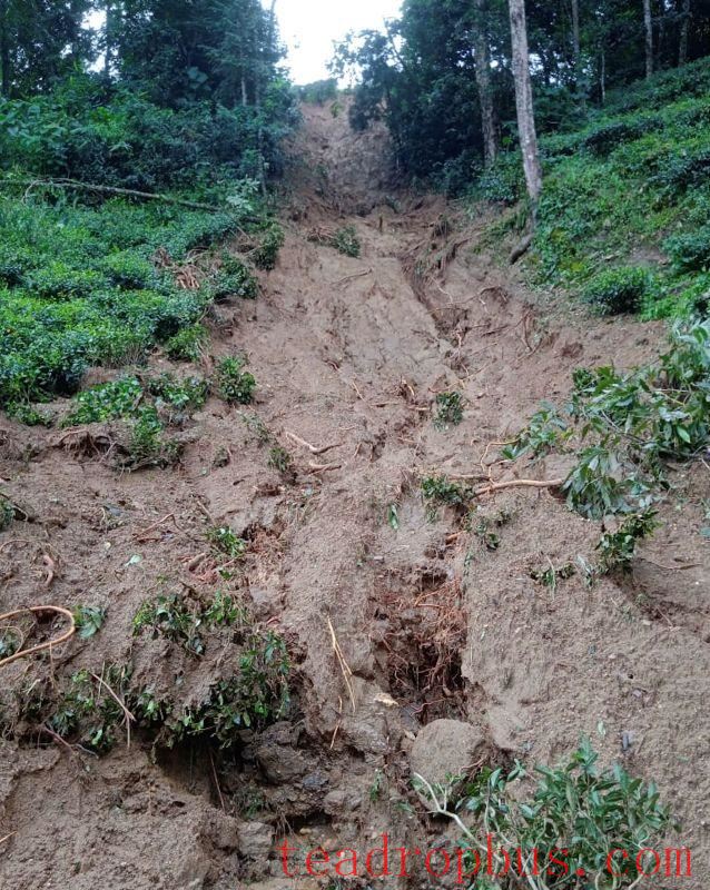 darjeeling rain storm