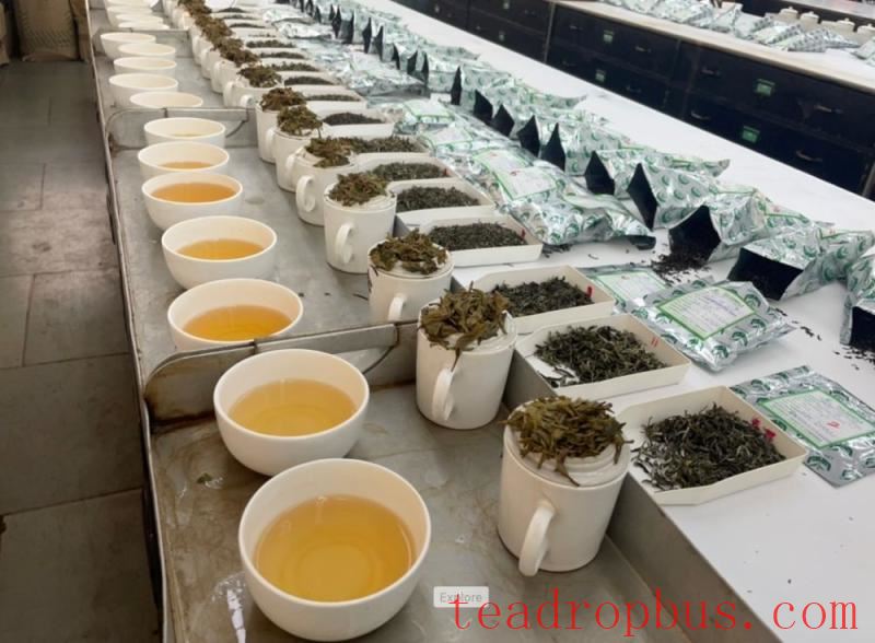 darjeeling tea