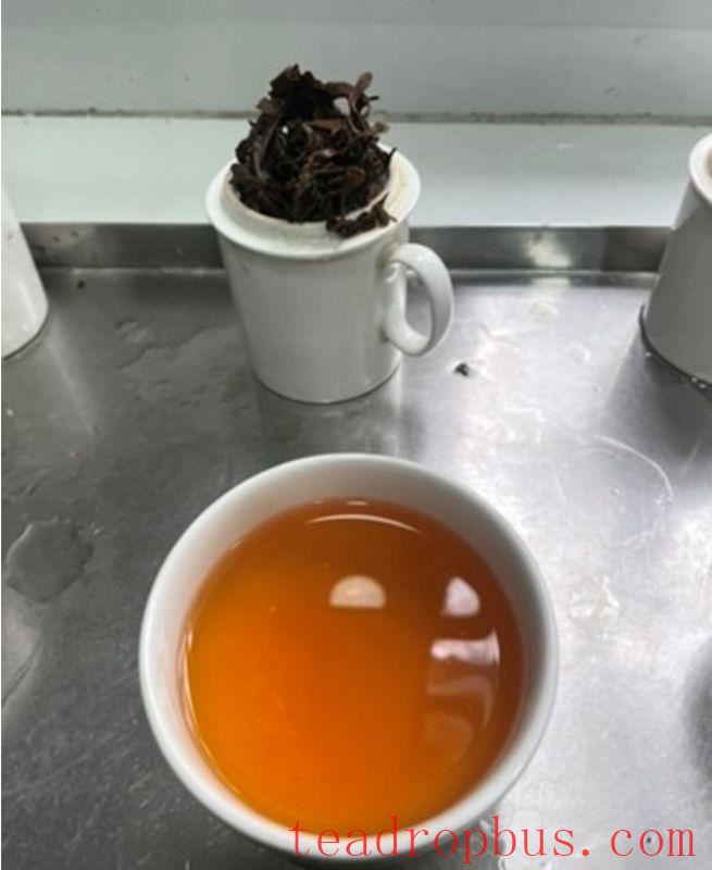 darjeeling tea